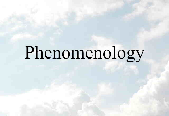 phenomenology