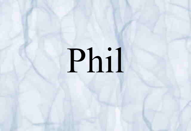 Phil (noun) Definition, Meaning & Examples