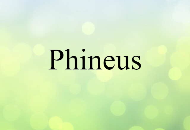 Phineus (noun) Definition, Meaning & Examples