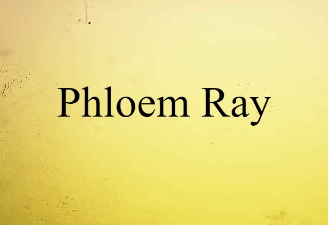 phloem ray