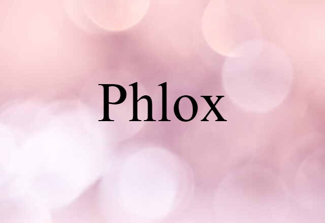 Phlox (noun) Definition, Meaning & Examples