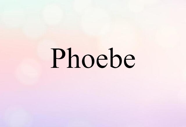 phoebe