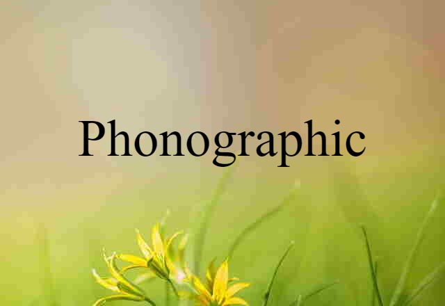 Phonographic (noun) Definition, Meaning & Examples