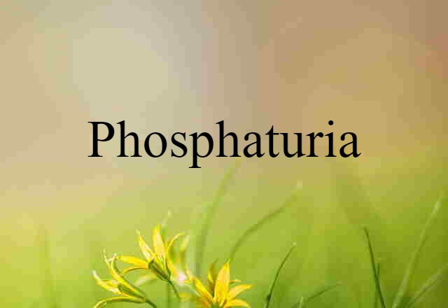 Phosphaturia (noun) Definition, Meaning & Examples