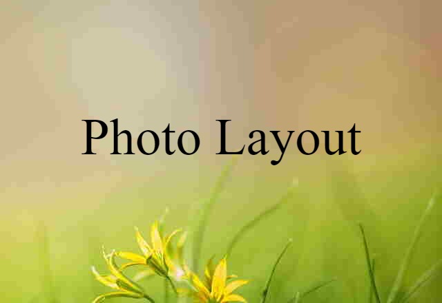 Photo Layout (noun) Definition, Meaning & Examples