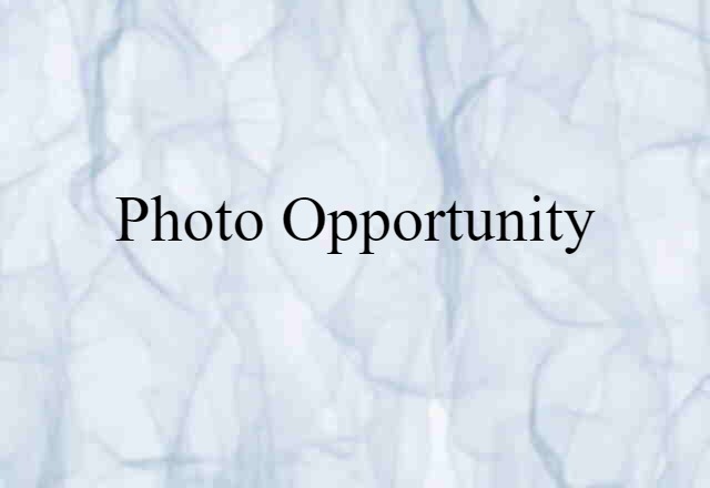 Photo Opportunity (noun) Definition, Meaning & Examples