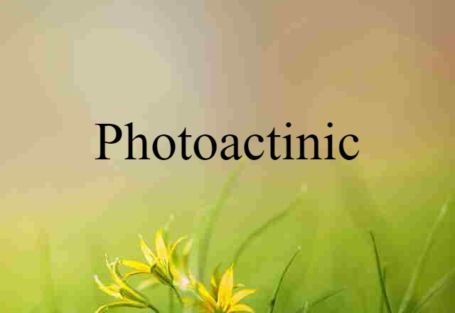 Photoactinic (noun) Definition, Meaning & Examples