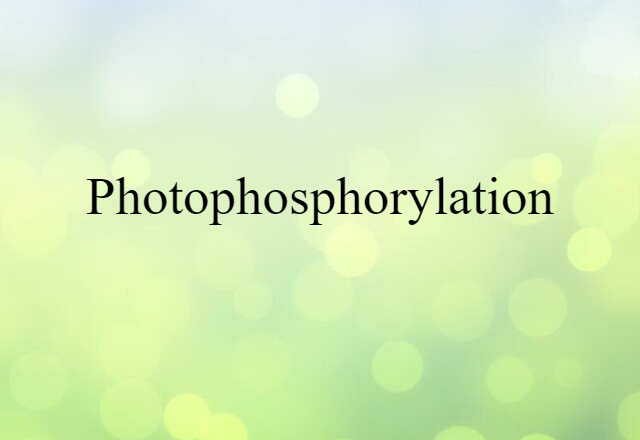 photophosphorylation