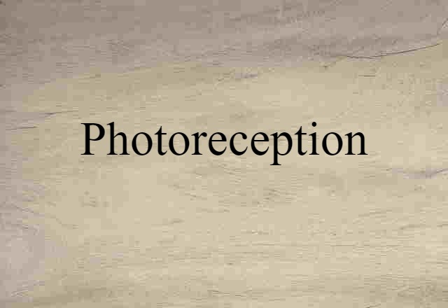 photoreception