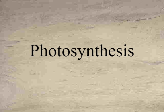 photosynthesis