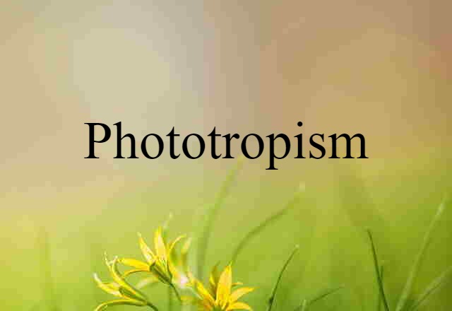 Phototropism (noun) Definition, Meaning & Examples