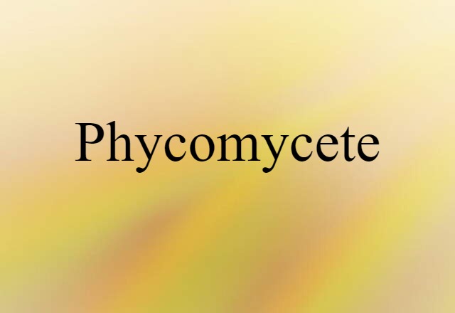 Phycomycete (noun) Definition, Meaning & Examples