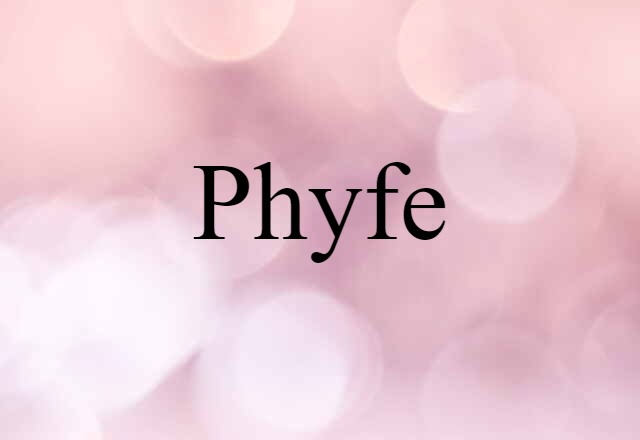 Phyfe (noun) Definition, Meaning & Examples