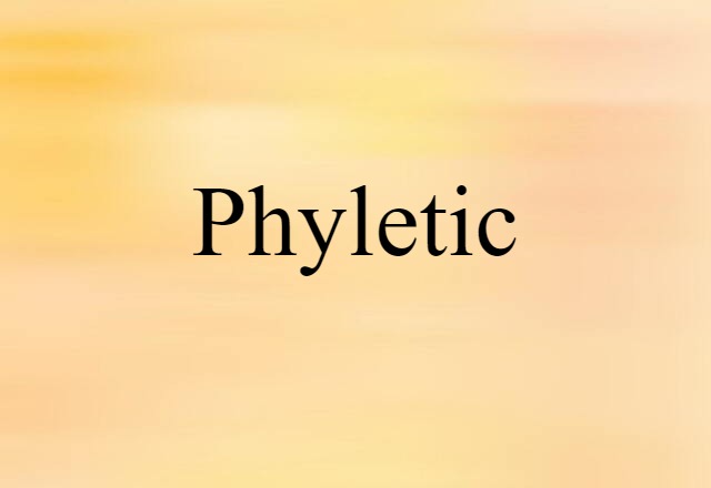 Phyletic (noun) Definition, Meaning & Examples