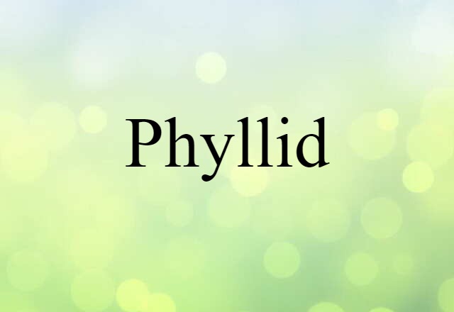 phyllid