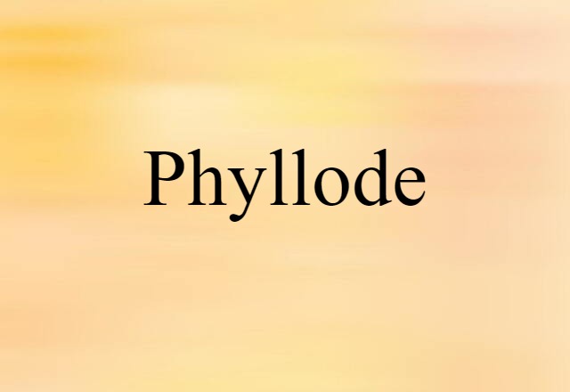 phyllode