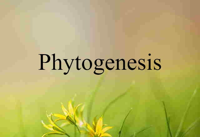 phytogenesis