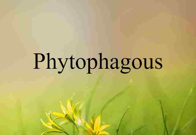 phytophagous