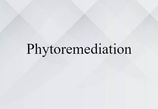 phytoremediation