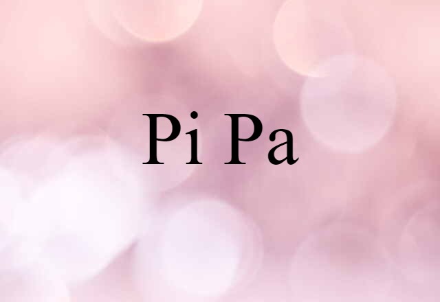 Pi-pa (noun) Definition, Meaning & Examples