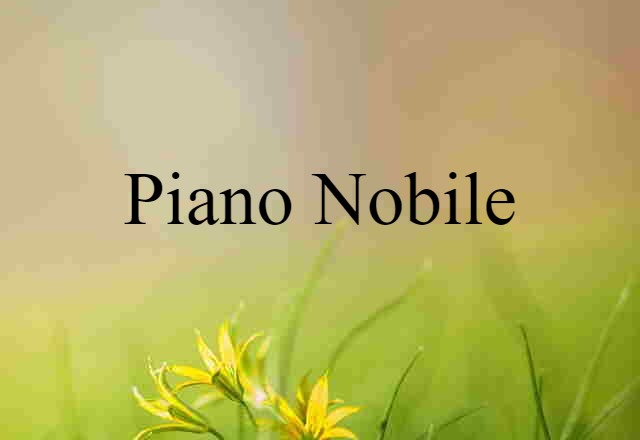 Piano Nobile (noun) Definition, Meaning & Examples