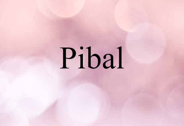 Pibal (noun) Definition, Meaning & Examples