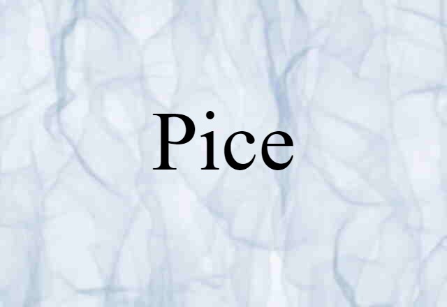 Pice (noun) Definition, Meaning & Examples