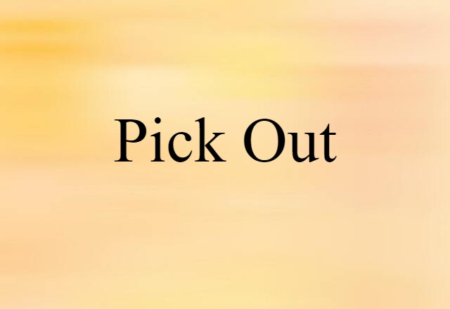 Pick Out (noun) Definition, Meaning & Examples