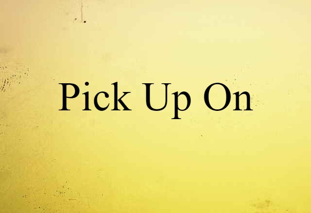 Pick Up On (noun) Definition, Meaning & Examples