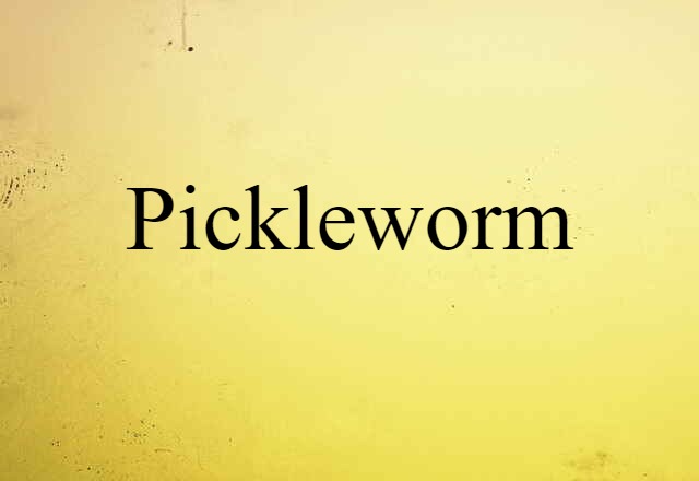 pickleworm