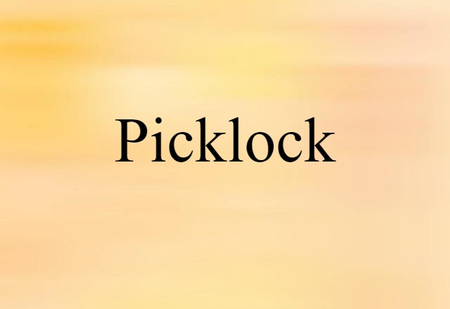 Picklock (noun) Definition, Meaning & Examples