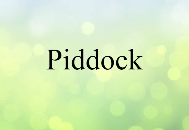 piddock