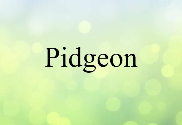 Pidgeon