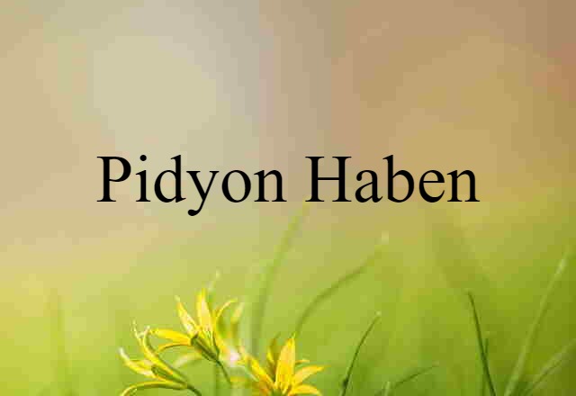 Pidyon Haben (noun) Definition, Meaning & Examples