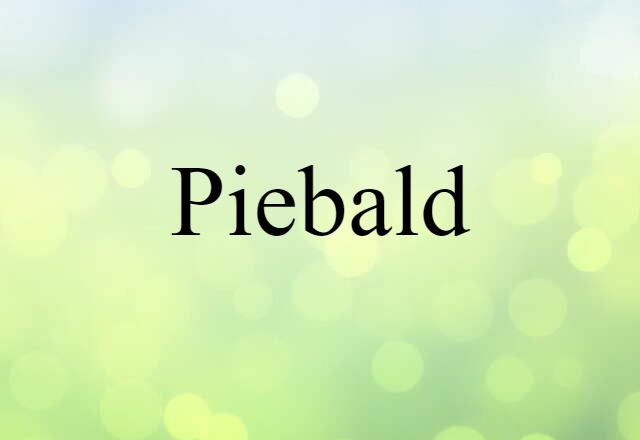 piebald