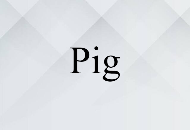 Pig (noun) Definition, Meaning & Examples