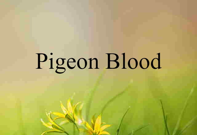 Pigeon Blood (noun) Definition, Meaning & Examples