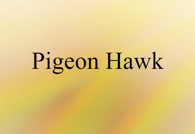 pigeon hawk