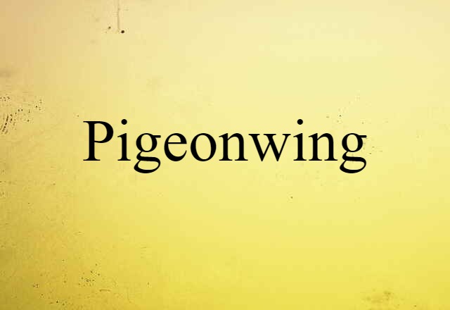 pigeonwing