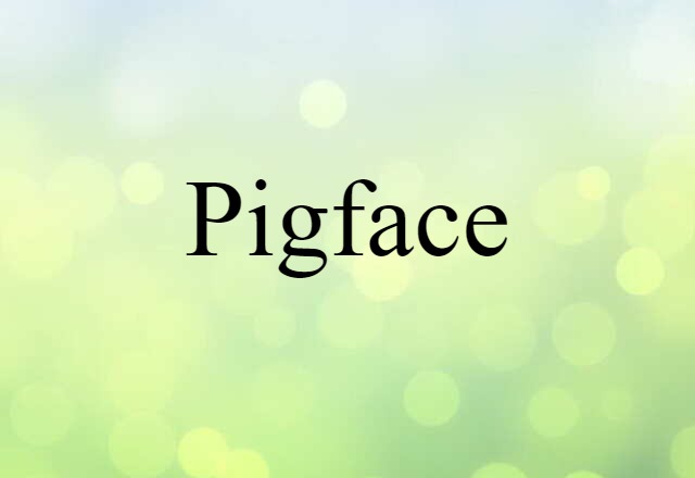 Pigface (noun) Definition, Meaning & Examples