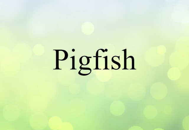 pigfish