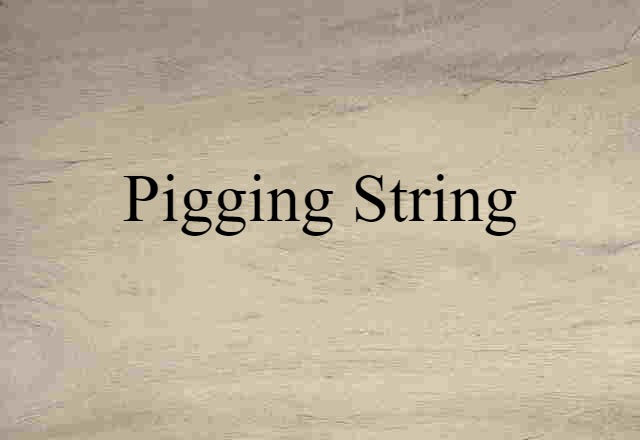 pigging string