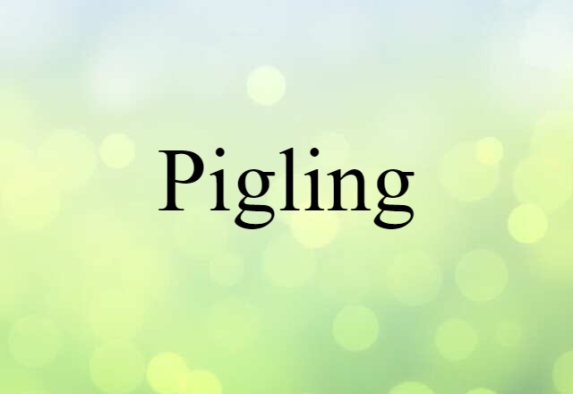 Pigling (noun) Definition, Meaning & Examples