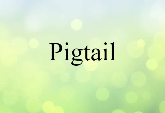 Pigtail (noun) Definition, Meaning & Examples