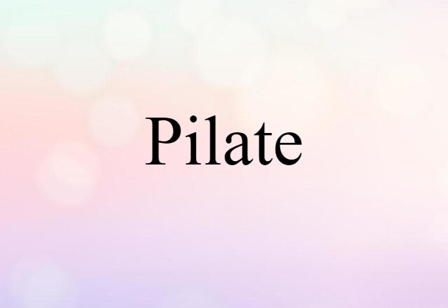 Pilate (noun) Definition, Meaning & Examples