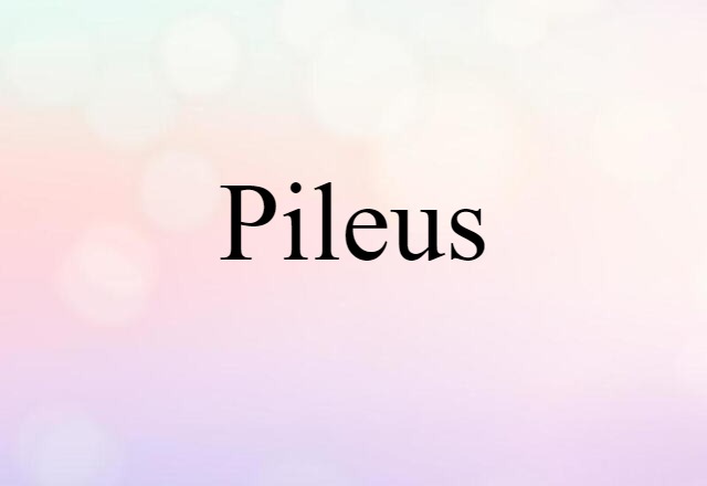 pileus