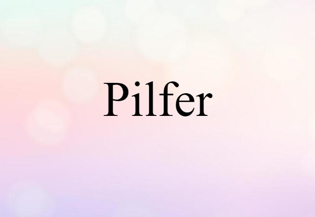 Pilfer (noun) Definition, Meaning & Examples