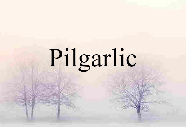 Pilgarlic (noun) Definition, Meaning & Examples