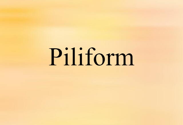 Piliform (noun) Definition, Meaning & Examples