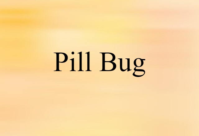 Pill Bug (noun) Definition, Meaning & Examples